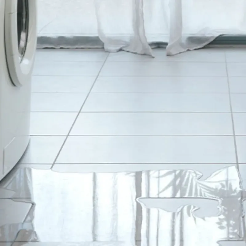 Appliance Leak Cleanup in Jesup, IA