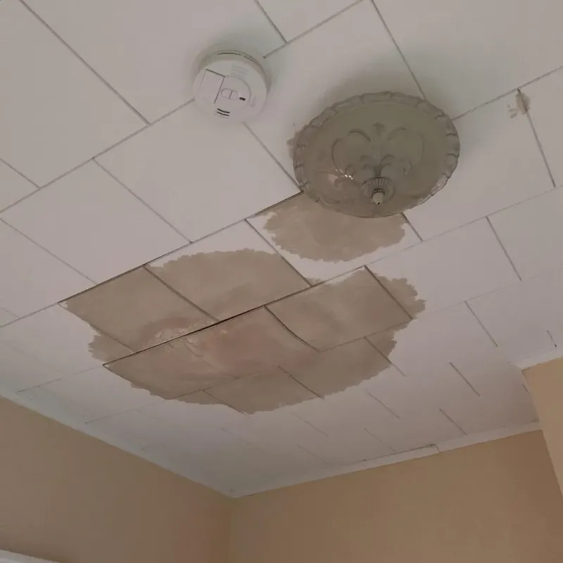Ceiling Water Damage Repair in Jesup, IA
