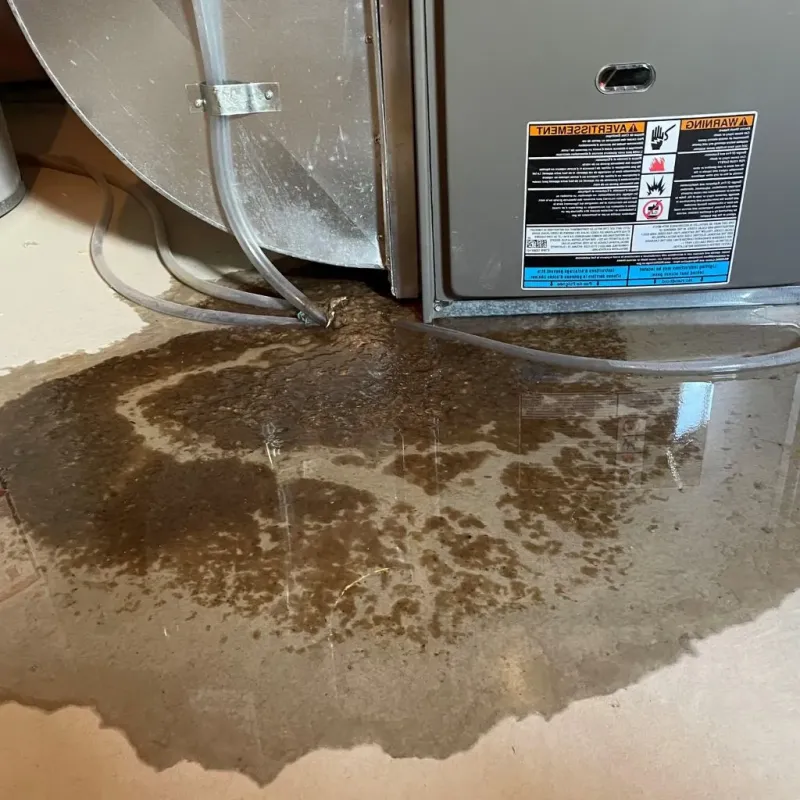 Pipe Burst and Leak Restoration in Jesup, IA